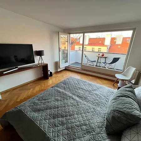 Lovely Large Flat In Historic Building, Balcony, Parking * Praag