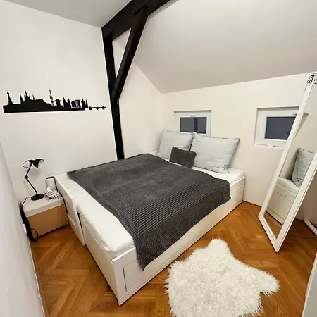 Lovely Large Flat In Historic Building, Balcony, Parking *