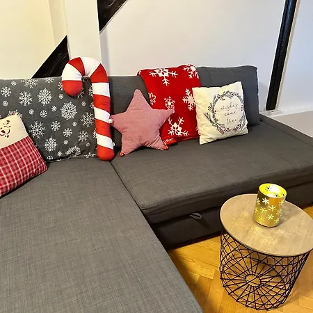Lovely Large Flat In Historic Building, Balcony, Parking Appartement *