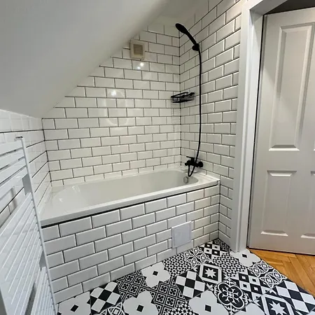 Lovely Large Flat In Historic Building, Balcony, Parking Praag
